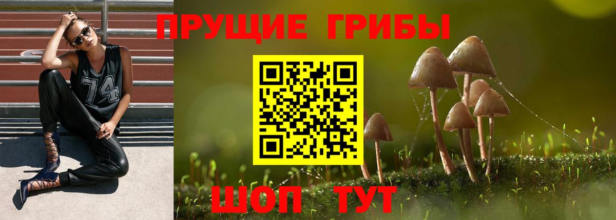 Горно-Алтайск  сколько стоит  Вход с VPN  Псилоцибиновые грибы ЛСД  Псилоцибиновые грибы Psilocybine cubensis 
